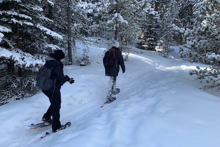 Snowshoeing Adventure in the Rocky Mountains Close to Denver - Photo 1 of 6